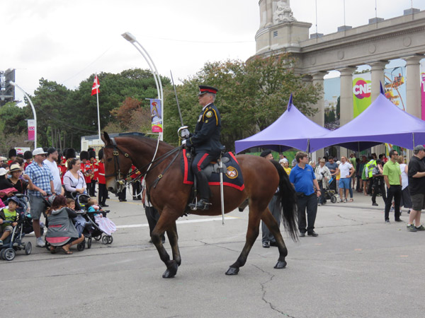 CNE-2017-37